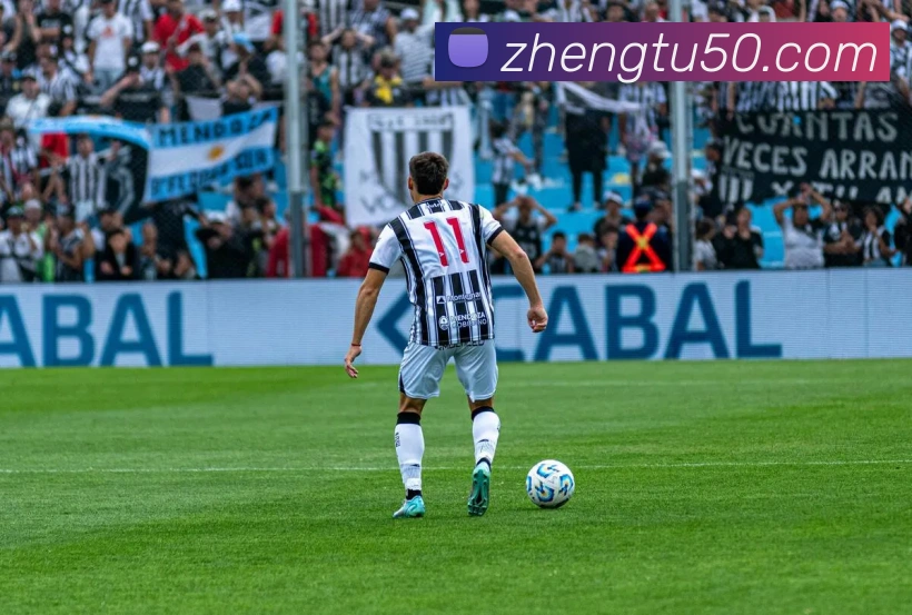 开云app平台生态图